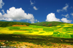 青海美景