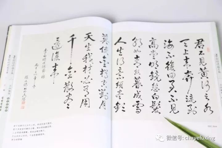 《茶韵诗情翰墨趣》 陈文怀著，刘祖生作序，陈宗懋、屠幼英、王岳飞等加持