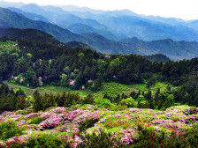 天台山