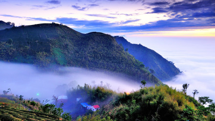 嘉义县的阿里山风景区