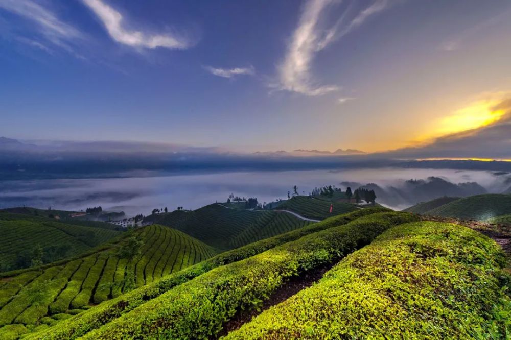 美丽中国•湖北篇丨灵秀湖北 绿满荆楚