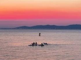 捕知了的夏日