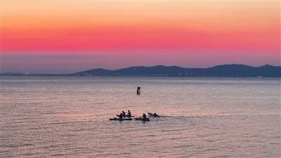 捕知了的夏日